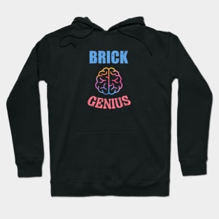 Brick Genius Building Fan Hoodie